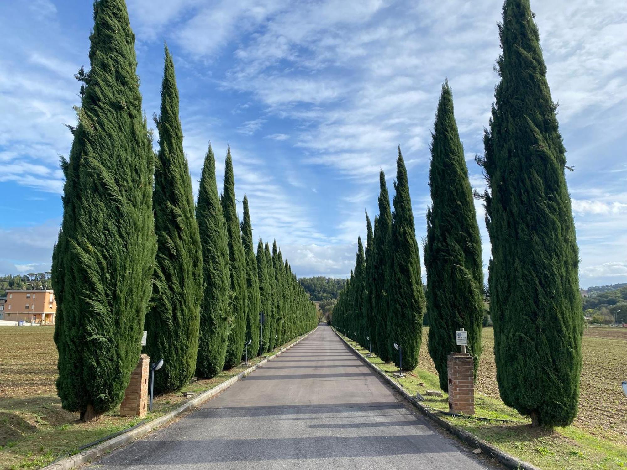 La Locanda Dei Golosi Bosco  Εξωτερικό φωτογραφία